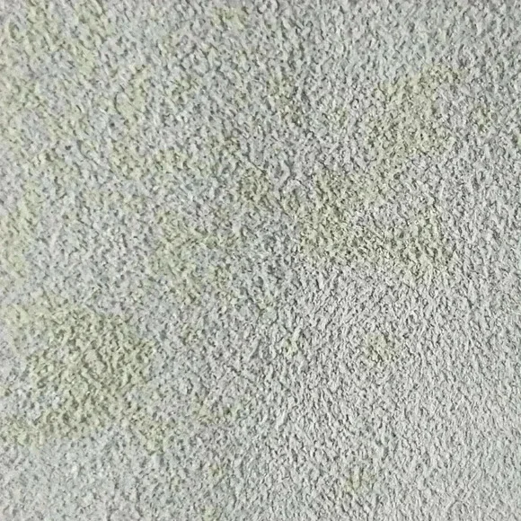 NWOTEtcetera Size 6‎ Very Soft Warm Beige Lamb Suede Top Spaghetti Straps Hi Low - Picture 5 of 12